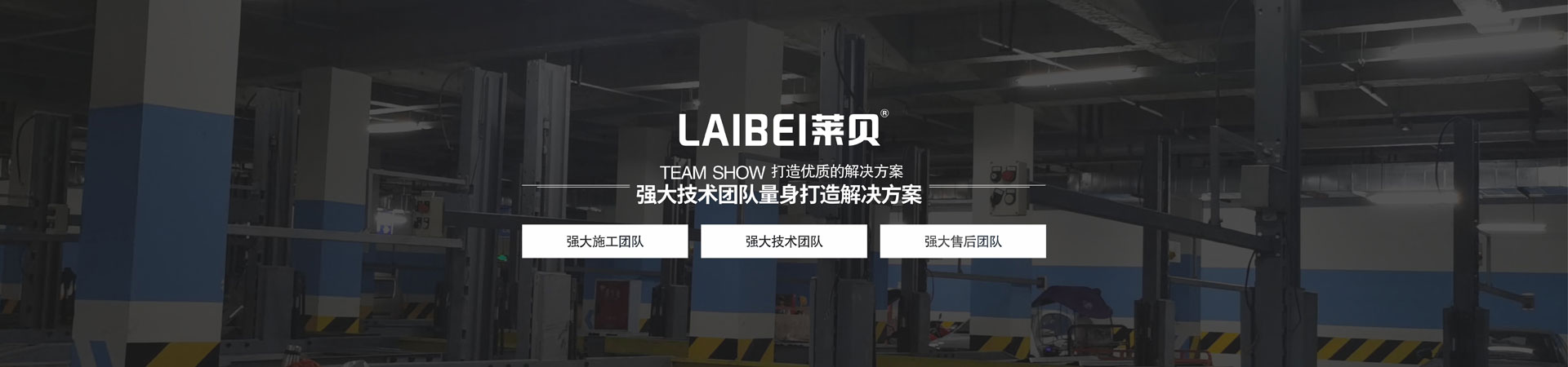 PJS两柱简易升降立体车库设备